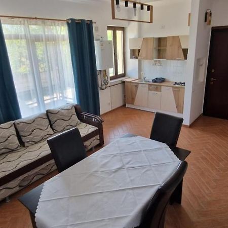 Comanesti Casa Francesca公寓 外观 照片