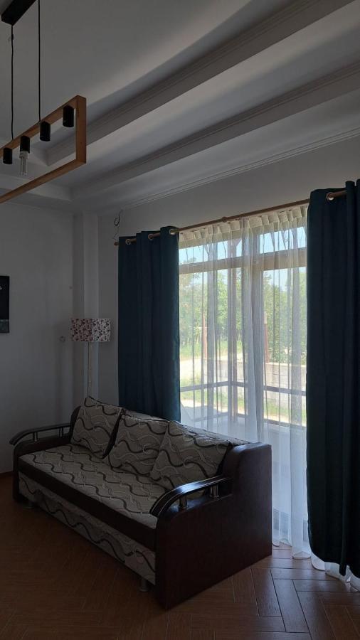 Comanesti Casa Francesca公寓 外观 照片