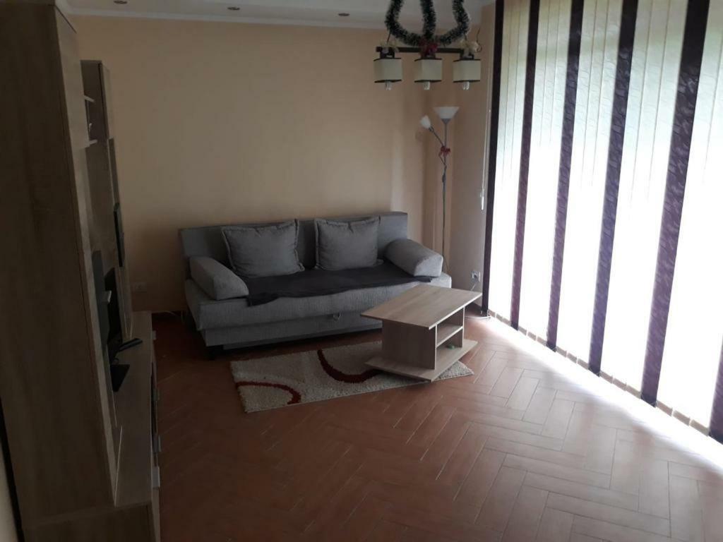 Comanesti Casa Francesca公寓 外观 照片