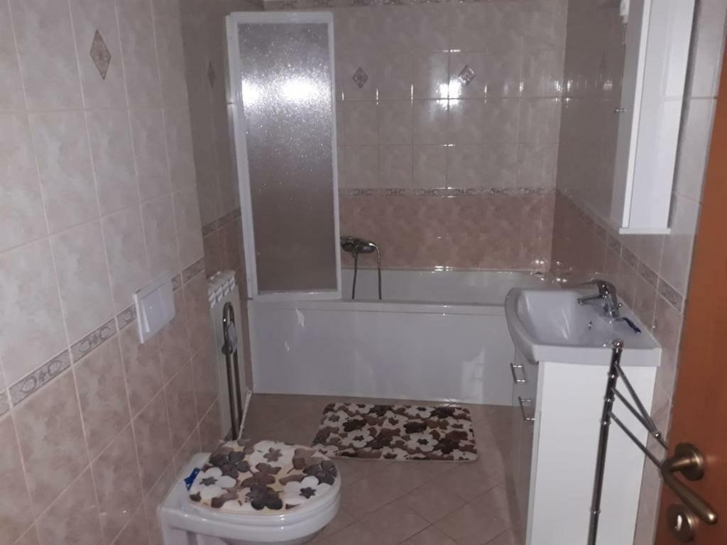 Comanesti Casa Francesca公寓 外观 照片